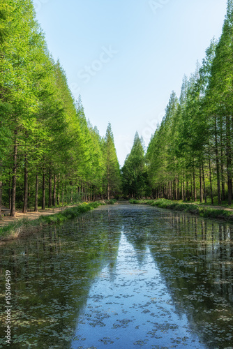 Gyeongbuk Millennium Forest Garden
