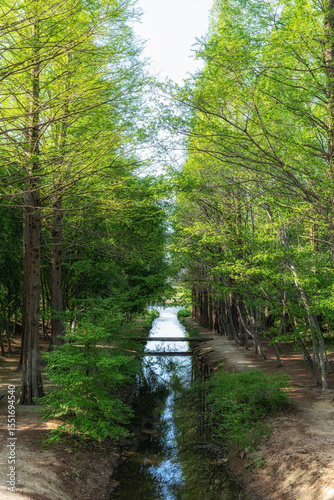 Gyeongbuk Millennium Forest Garden