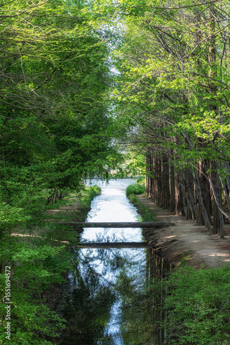 Gyeongbuk Millennium Forest Garden