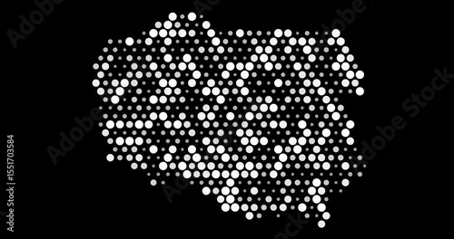 Poland Map With Dynamic Digital Dots