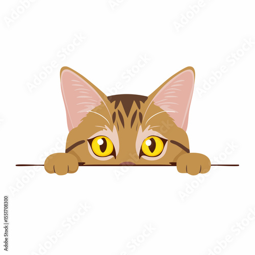 cat and mouse