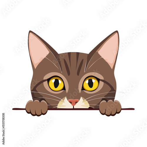 cat and mouse