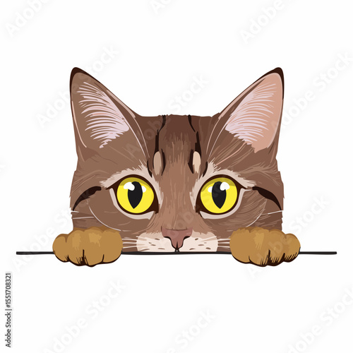 cat and mouse