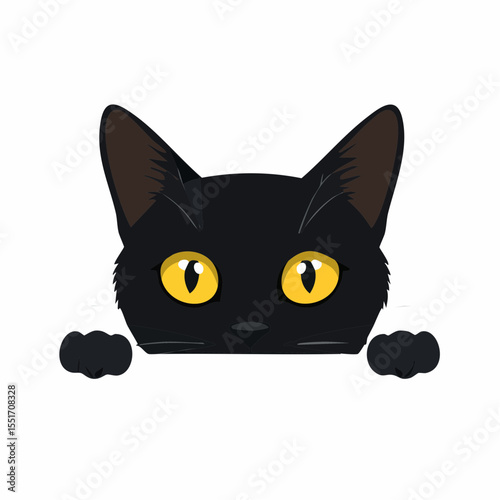 black and white cat