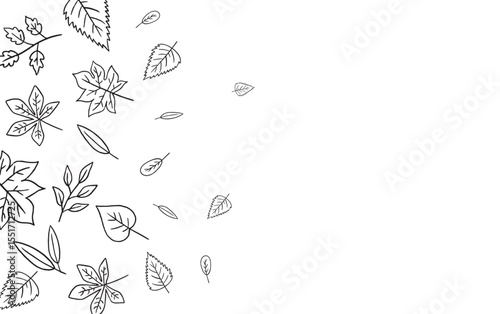 Autumn line leaves frame, outline, design for posters, banner, greeting cards, stickers