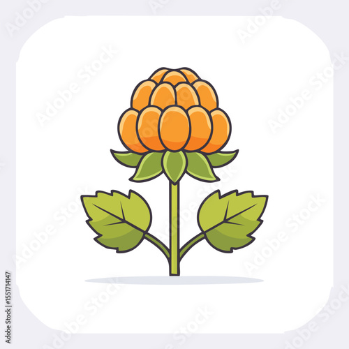 Minimal Flat Vector Illustration of a Cloudberry – Clean Style with Bold Black Outline and No Gradients, Perfect for Icons, Labels, and Nordic Fruit Designs