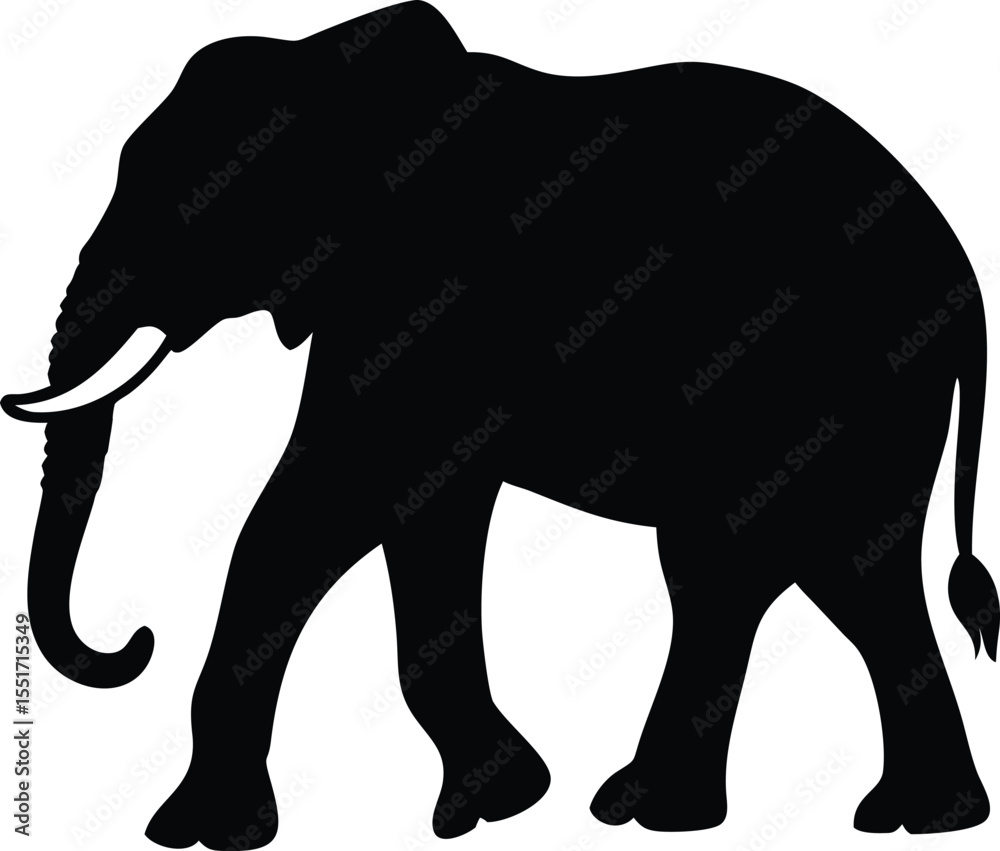 Fototapeta premium A full body silhouette of an elephant walking pose, vector illustration