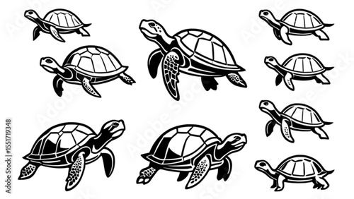 ウミガメアイコンセット｜Sea Turtle Icon Set