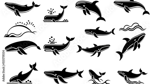 クジラのアイコンセット｜Whale Icon Collection