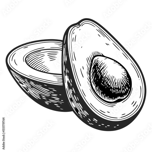 Hand-drawn avocado half sketch. Detailed engraving of avocado halves showcasing creamy flesh and large pit.  This precise avocado illustration is perfect for culinary publications, restaurant menus.