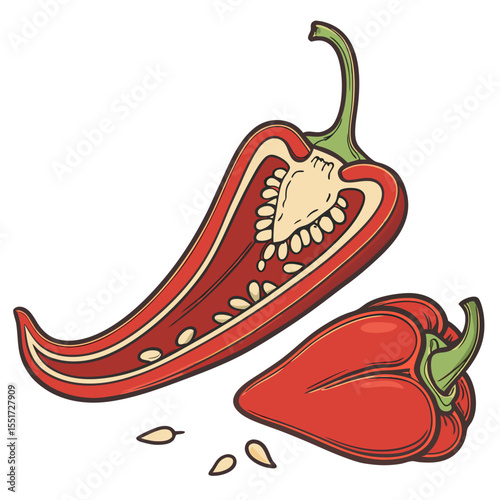 red chilli 3D vector
 white background
