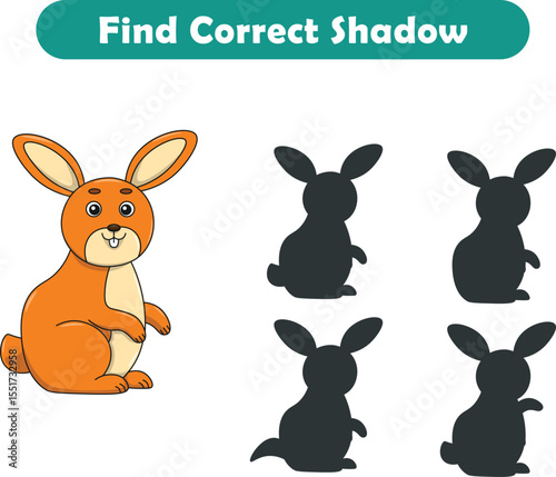 Funny cartoon rabbit. find the correct shadow. Kids Education games. Cartoon vector illustration