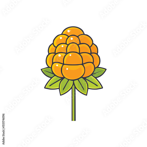 Vector of Cloudberry with Bold Black Outline No Gradients Clean Minimal Style