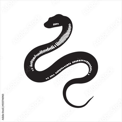 Detailed Snake Line Art Vector,Hand Drawn Snake Illustration,Realistic Snake Drawing in Vector Style,Coiled Snake with Scales Line Design,Monochrome Snake Vector Outline,Top View Snake Illustration