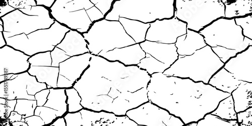 A high-contrast black and white texture depicting dry, cracked earth. The fragmented surface forms an organic mosaic of irregular shapes, with sharp, dark lines outlining each segment.