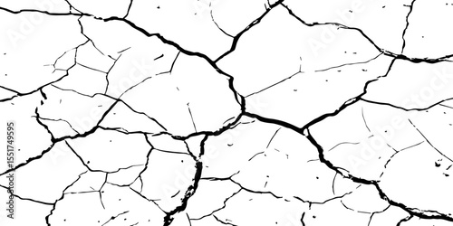 A high-contrast black and white texture depicting dry, cracked earth. The fragmented surface forms an organic mosaic of irregular shapes, with sharp, dark lines outlining each segment.