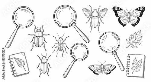 Set of hand drawn whimsical illustrations of insects and magnifying glasses. Doodle drawings of beetles, butterflies, vintage lenses, pressed leaves, and tiny notebooks. Naturalist line art in antique