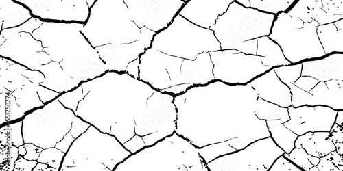 A high-contrast black and white texture depicting dry, cracked earth. The fragmented surface forms an organic mosaic of irregular shapes, with sharp, dark lines outlining each segment.