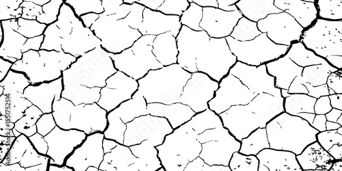 A high-contrast black and white texture depicting dry, cracked earth. The fragmented surface forms an organic mosaic of irregular shapes, with sharp, dark lines outlining each segment.