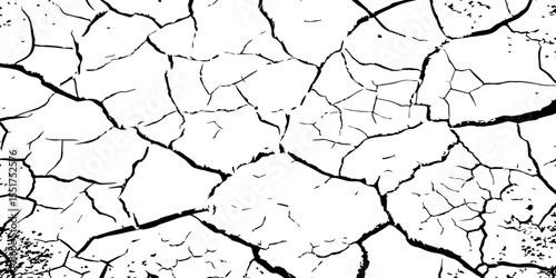 A high-contrast black and white texture depicting dry, cracked earth. The fragmented surface forms an organic mosaic of irregular shapes, with sharp, dark lines outlining each segment.