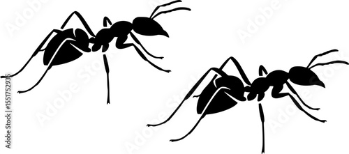Two black ant silhouettes with slender legs, poised on white background vector illustration	

 