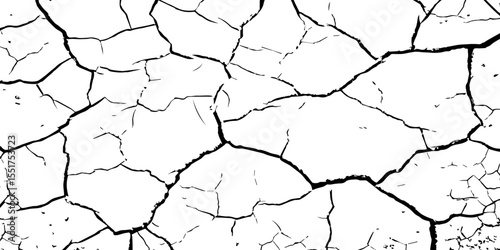 A high-contrast black and white texture depicting dry, cracked earth. The fragmented surface forms an organic mosaic of irregular shapes, with sharp, dark lines outlining each segment.