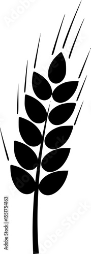 Minimalist black silhouette illustration of an ear of wheat or barley vector illustration