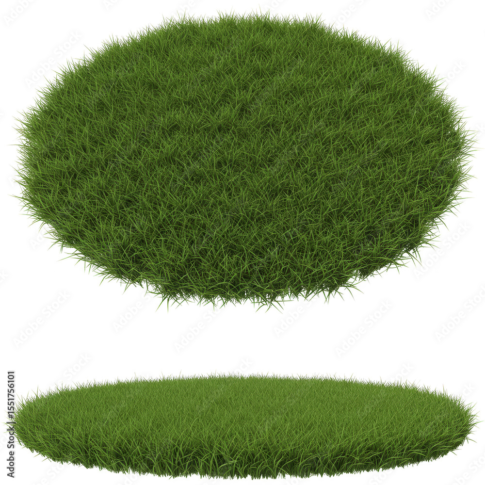 custom made wallpaper toronto digitalIsolated 3D Rendering Green Grass Land Round Patch Background