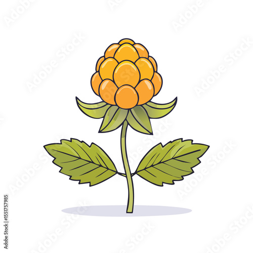 Minimal Flat Vector Illustration of Cloudberry – Clean Design with Bold Black Outline, No Gradients, Perfect for Icons, Stickers, and Food Graphics

