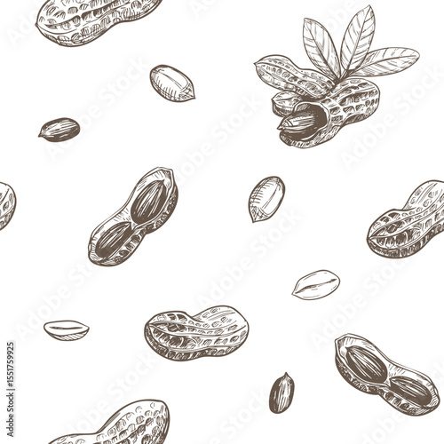 Peanuts seamless pattern, peanut butter, nuts, hand drawn sketch, realistic vector illustration