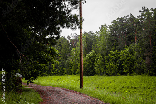 Curved gravel path with utility pole runs alongside lush green forest under overcast sky, evoking peaceful rural or countryside scenery.