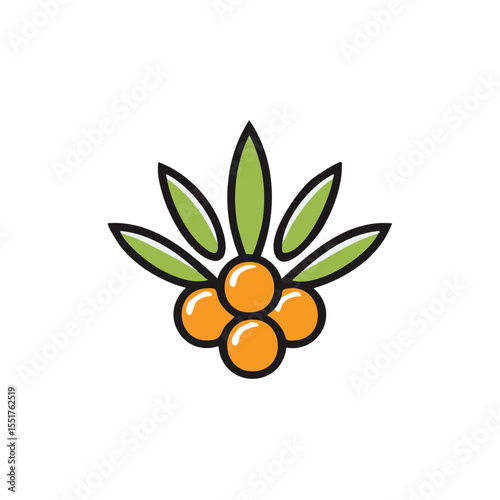 Minimal Flat Vector Sea Buckthorn with Bold Outline and Clean Gradient-Free Style