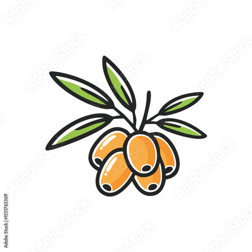 Minimal Flat Vector Sea Buckthorn with Bold Outline and Clean Gradient-Free Style