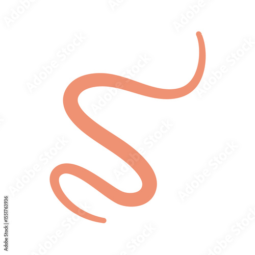 Ascaris Worm Parasite Vector Illustration