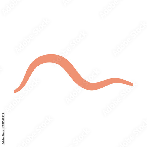 Ascaris Worm Parasite Vector Illustration