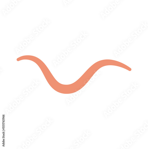 Ascaris Worm Parasite Vector Illustration