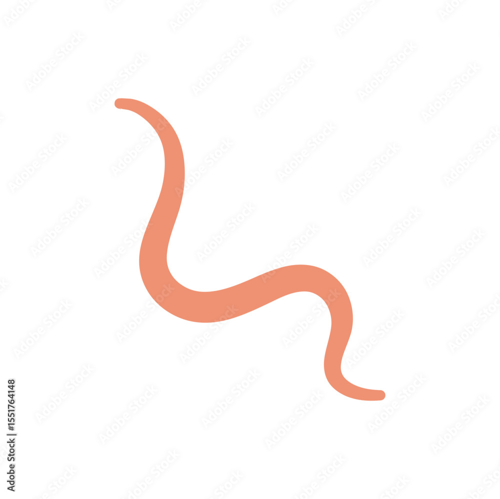 Obraz premium Ascaris Worm Parasite Vector Illustration