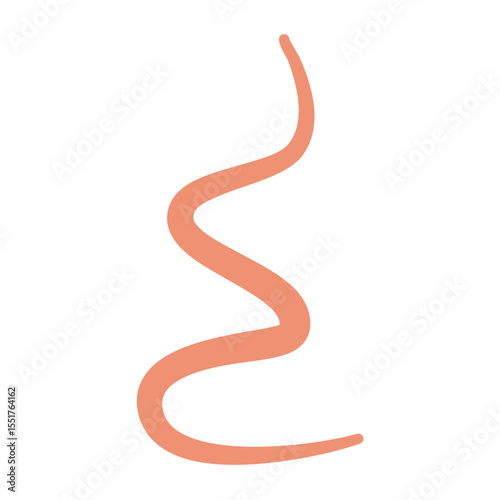 Ascaris Worm Parasite Vector Illustration