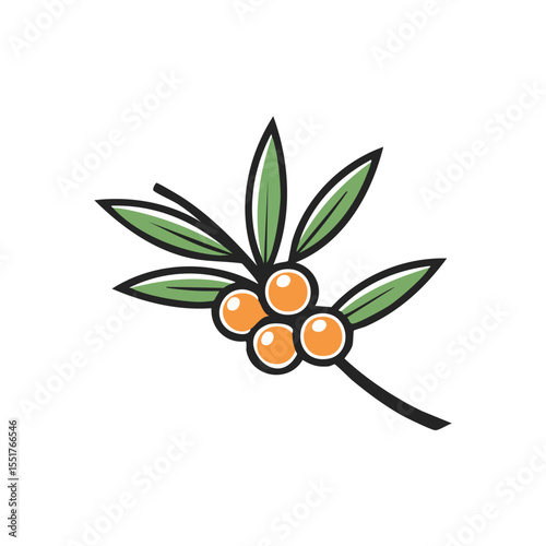 Minimal Flat Vector of Sea Buckthorn with Bold Outline in Clean and Simple Isolated Design

