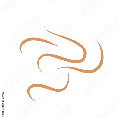 Roundworms in Cats and Dogs