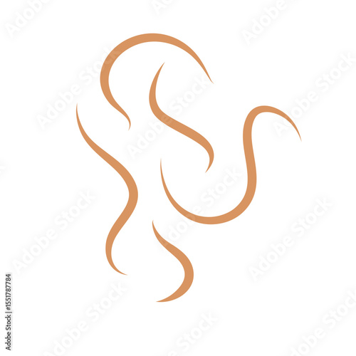 Roundworms in Cats and Dogs