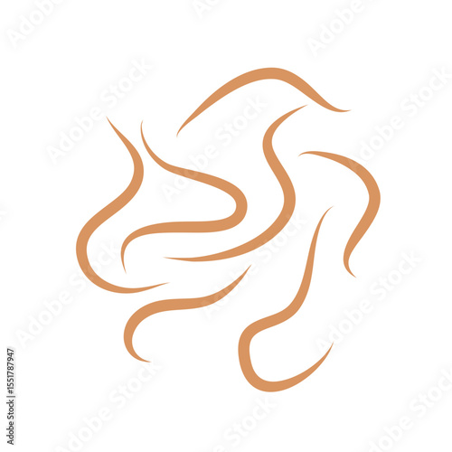 Roundworms in Cats and Dogs