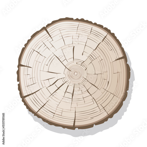 Wood Log Slice with Annual Rings Illustration - Vector Image
