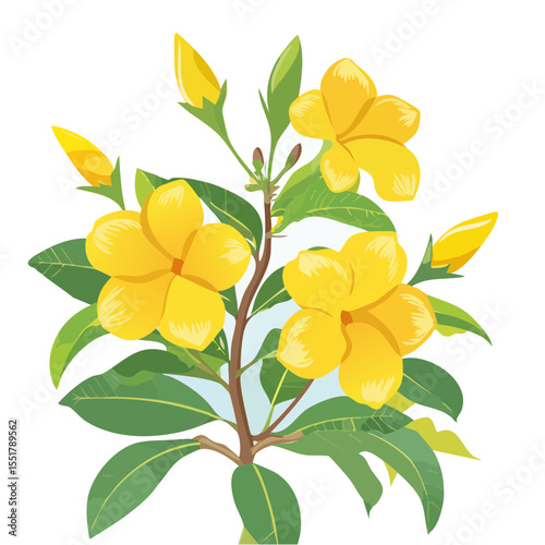 Elegant Yellow Frangipani Flowers on a Twig Vector Illustration