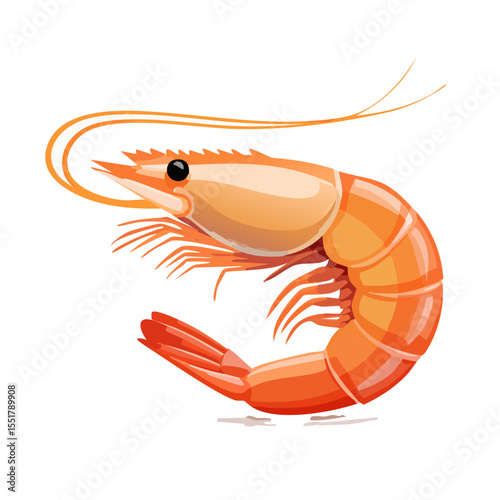 Detailed Illustration of a Cooked Shrimp on a Black Background