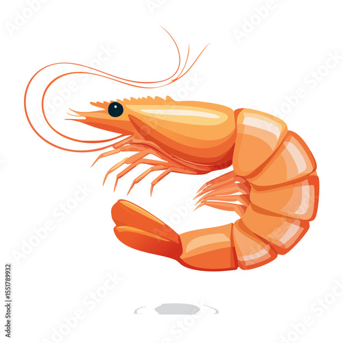 Illustration of a Stylized Shrimp with Detailed Shading and Vibrant Colors