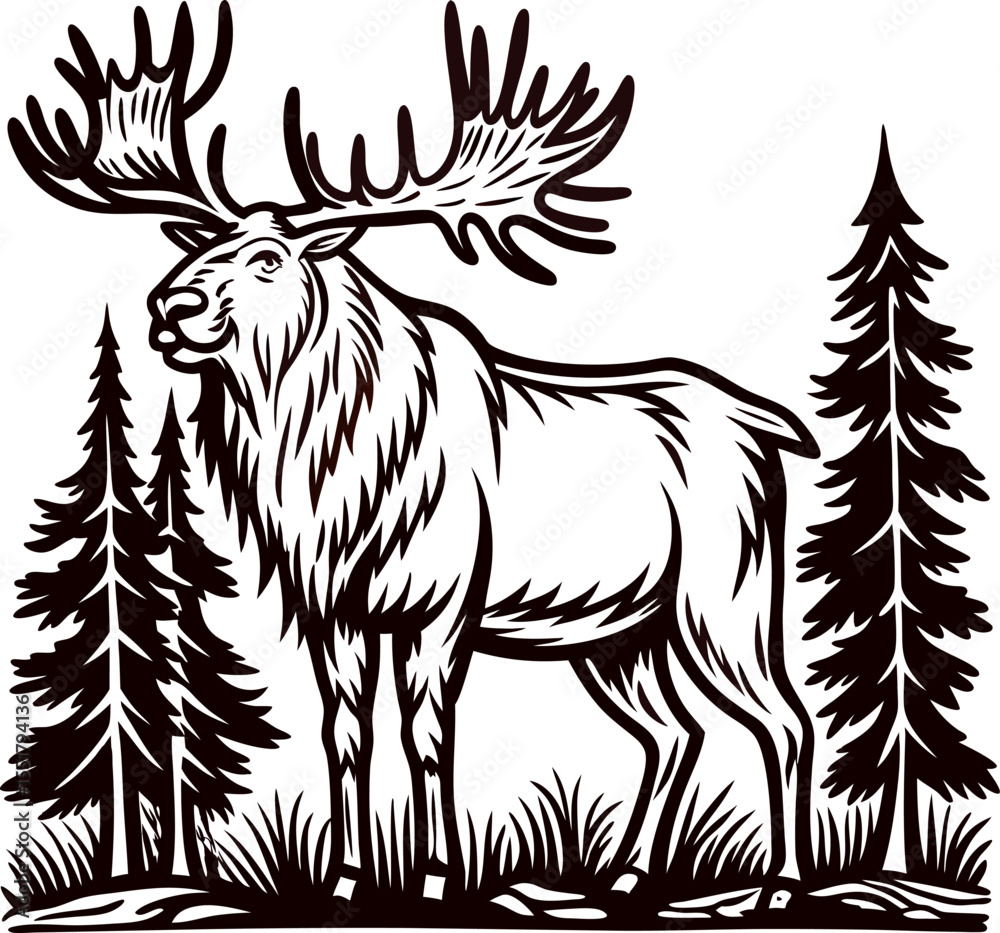 Fototapeta premium Majestic elk standing in forest with large antlers and evergreen trees, vintage etched illustration