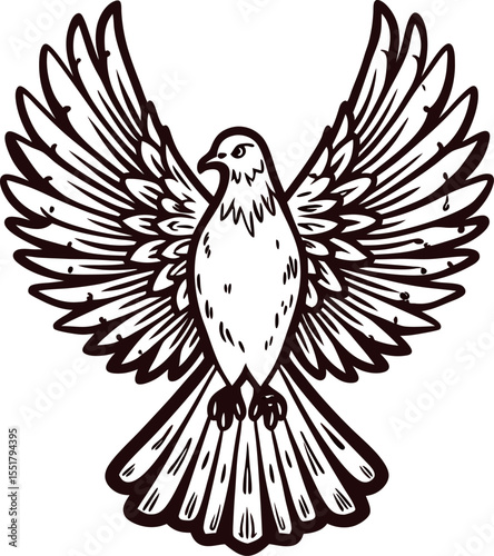 Elegant hand drawn flying dove with open wings vintage line art bird illustration isolated on white background