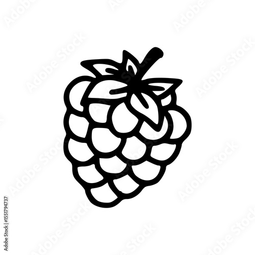 line drawing of raspberry
