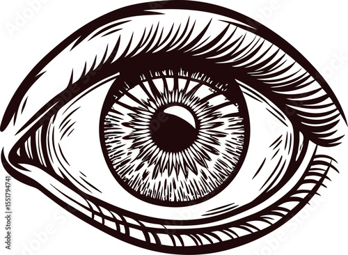 Detailed hand drawn human eye illustration in vintage engraving with bold lines and intricate shading